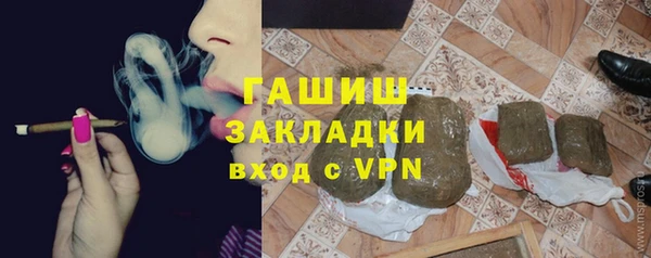 прущие грибы Михайлов