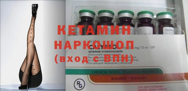 прущие грибы Михайлов