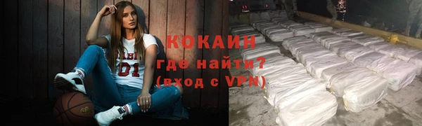 прущие грибы Михайлов