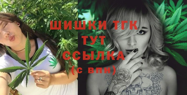 прущие грибы Михайлов