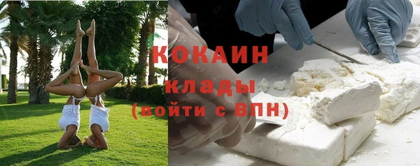 прущие грибы Михайлов