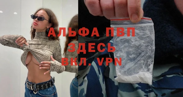 прущие грибы Михайлов
