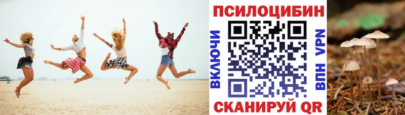 дарнет шоп  Дербент  ОМГ ОМГ ТОР  Галлюциногенные грибы прущие грибы 