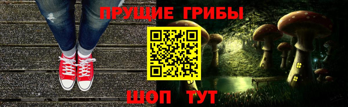 Галлюциногенные грибы Cubensis Дербент