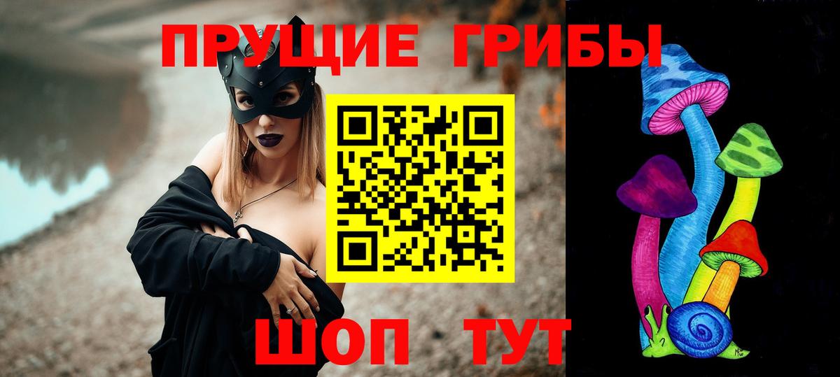 Псилоцибиновые грибы Psilocybine cubensis  Дербент 